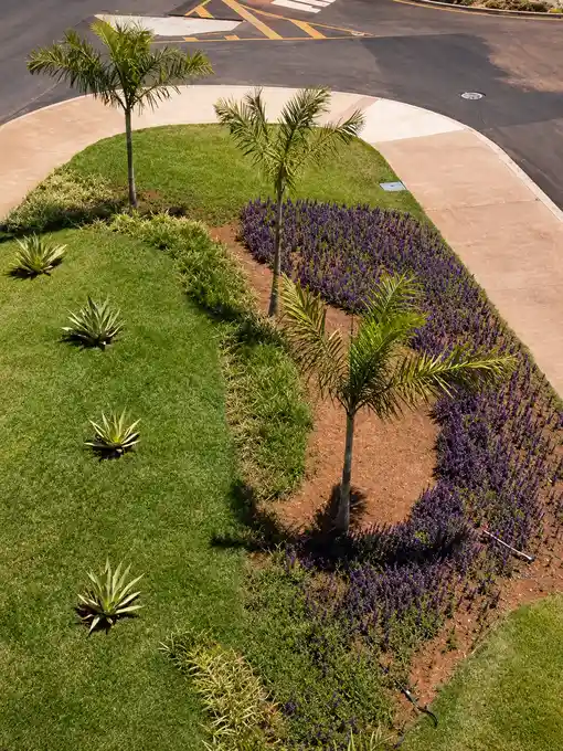 Paisagismo